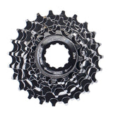 Xlc Cassette 8v Campagnolo Silver